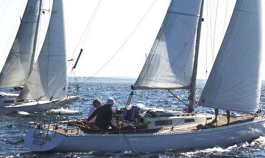 Molich-bådene fra det berømte værft i Hundested har  valgt at lægge deres årlige træf i Svendborg. Foto: molich-x-meter.dk