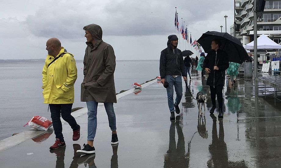 VM i sejlsport regner væk på havnen i Aarhus. Foto: Sara Sulkjær