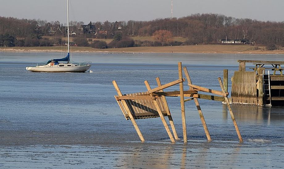 Roskilde Havn med ødelagte pæle. Foto: Søren Svarre, sejlfoto.dk