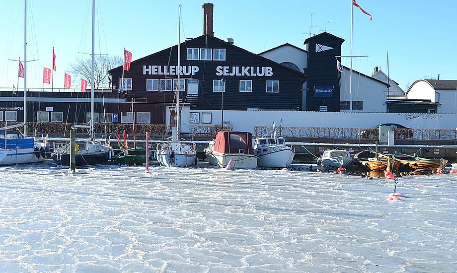 Flot ser det ud. Men ikke så godt at sejle på. Et situationsbillede fra Hellerup Havn i morges. Foto: Christian Lerche