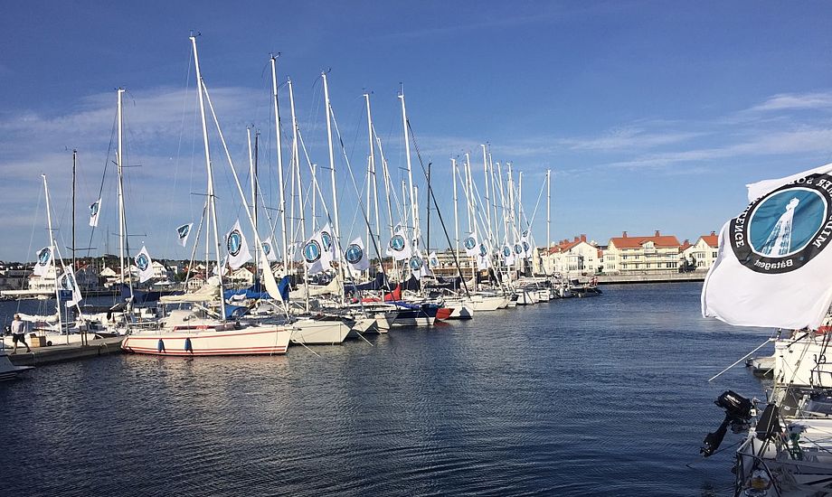 Initiativtagerne bag den svenske solosejlads er selv tidligere Silverrudder-deltagere. Her ses bådene inden starten i Marstrand. Foto: Jan Olesen
