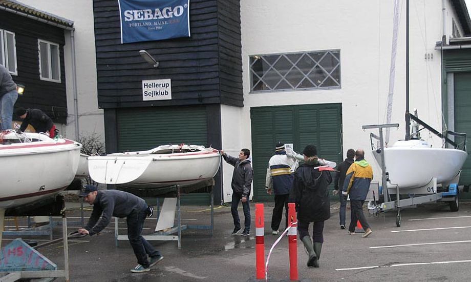 En flok frivillige tager Hellerup Sejlklubs både op for vinteren. Foto: Katrine Bertelsen