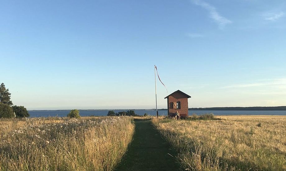 Øen Nyord byder på enestående naturoplevelser. Foto: Thomas Hyllested Pedersen