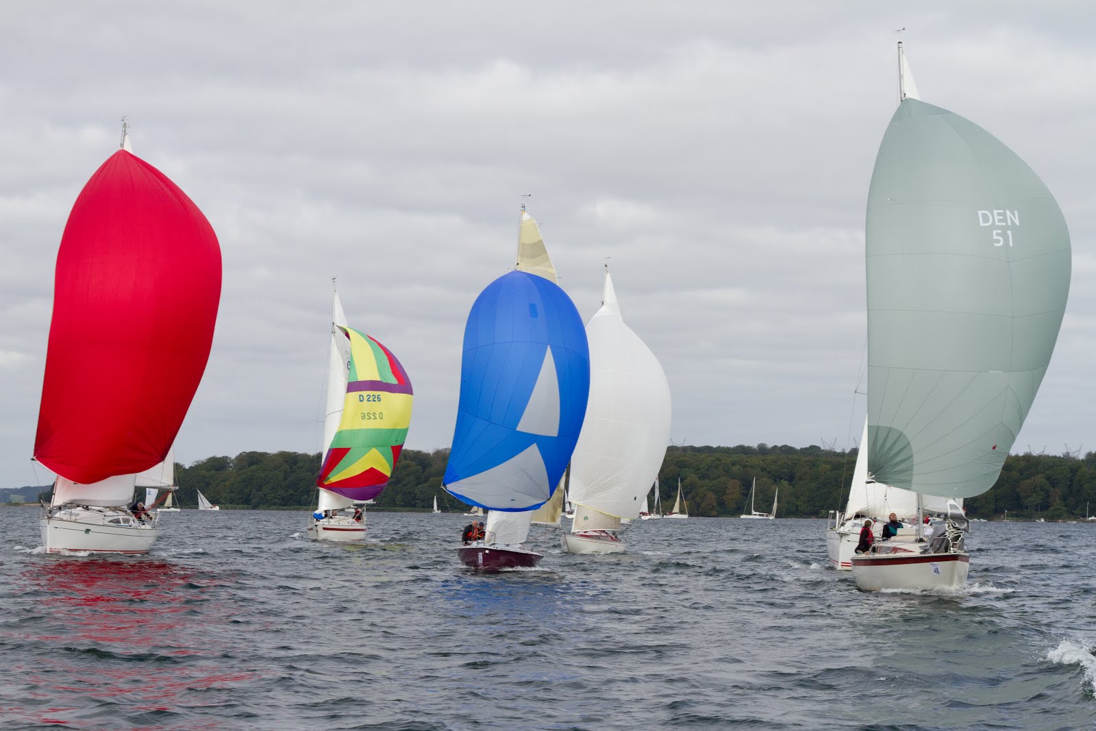 Start ved marinaen, udlagt mærke ved Skrillinge strand, Wedellsborg, Anslet Hage,  Ålehoved flak, Mosvig, Skrillinge strand og i mål igen.