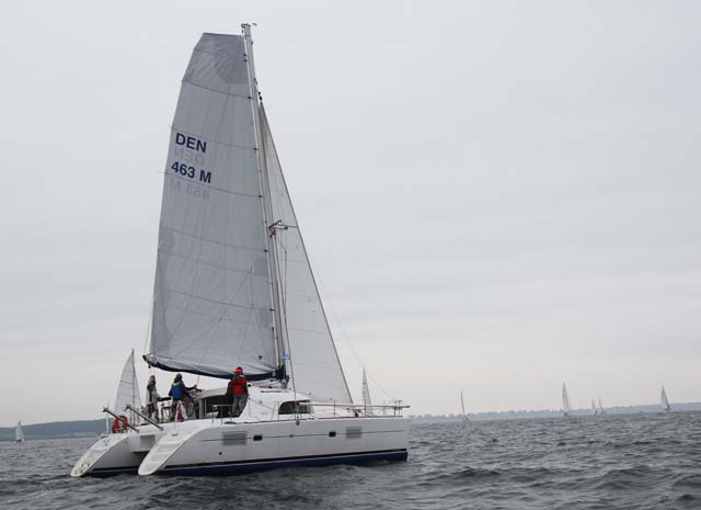 Skildpadden på billedet var hurtigere en haren i Classic Fyn Rundt. Foto: Troels Lykke