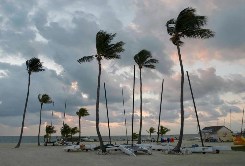 Palmer og strand. Vejret er ikke kun sol og sommer i Florida.