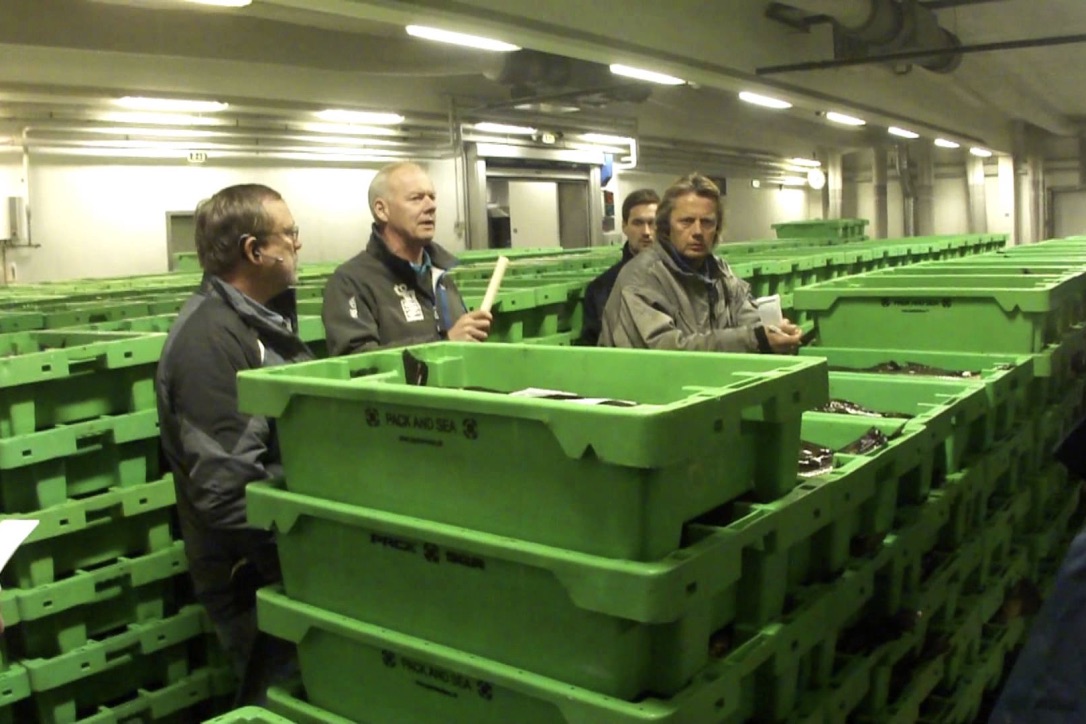 Den rekordstore tun blev solgt på fiskeauktionen i Hanstholm. Foto: YouTube