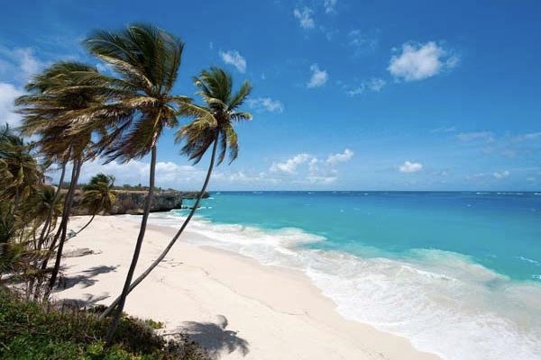 Lars Hall og Michael Staal har tidligere været langt fremme til Finnjollernes VM, som i år sejles i smukke omgivelser på Barbados. Foto: Andy Denison