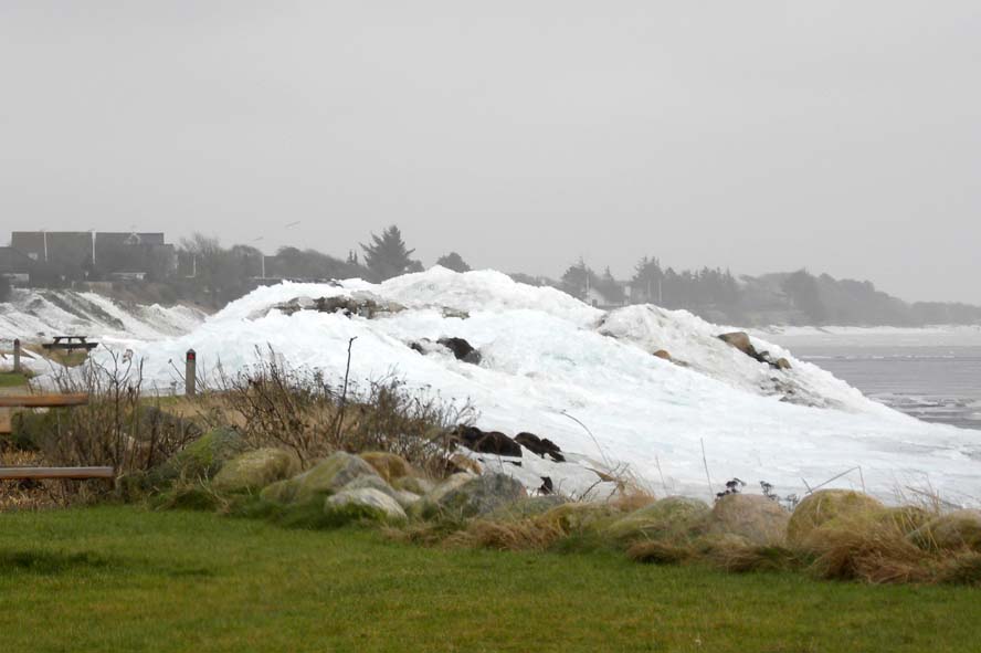 Is ved Ringkøbing lystbådehavn. Foto: Kim Specht