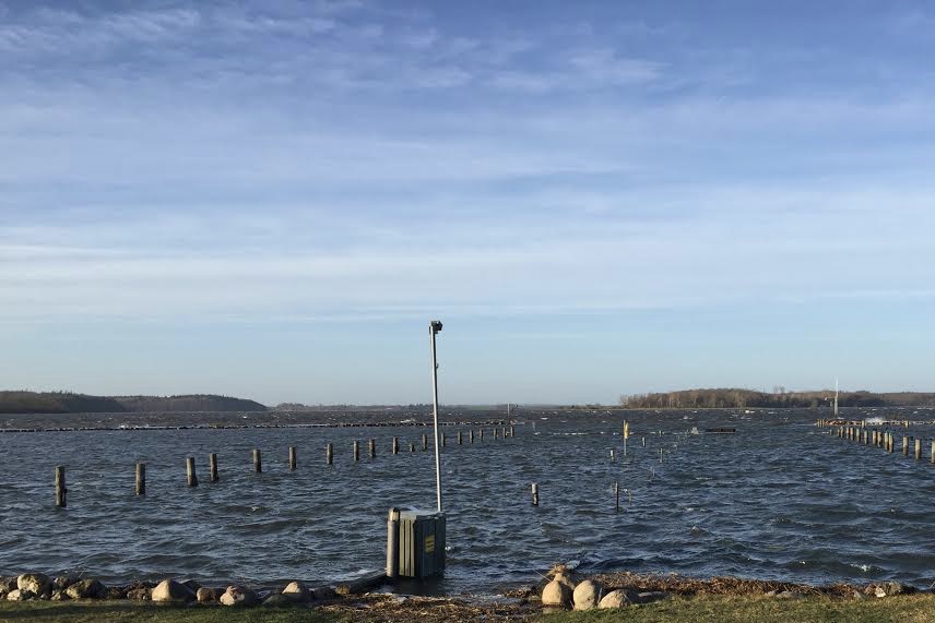 Broerne forsvandt i Veddelev Lystbådehavn efter stormen 'Urd'. Foto: Jakob Voltzmann